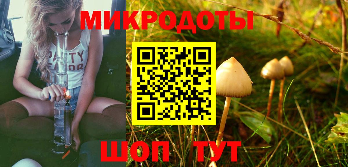 Галлюциногенные грибы Cubensis Дальнегорск